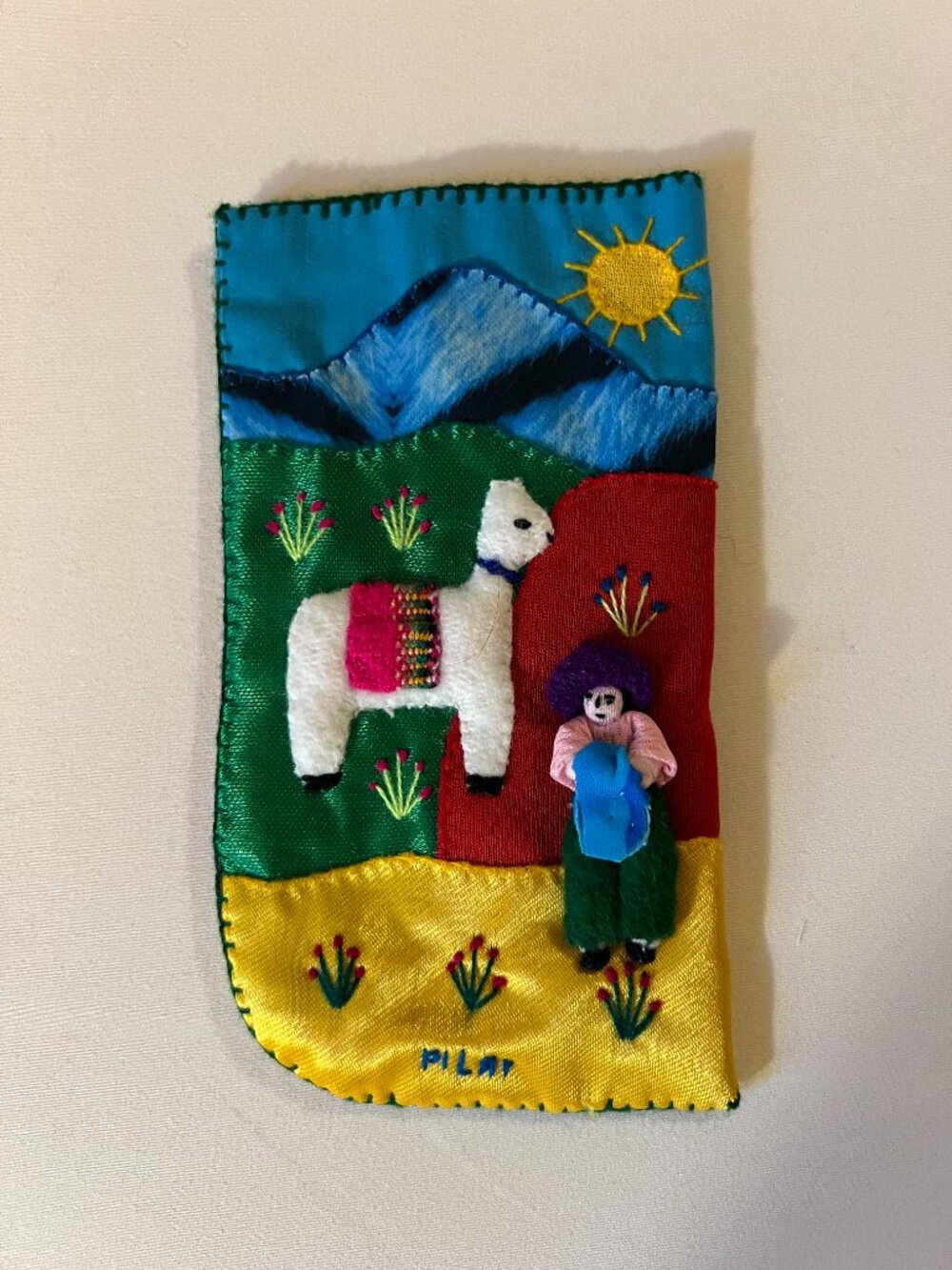 Eye glass case